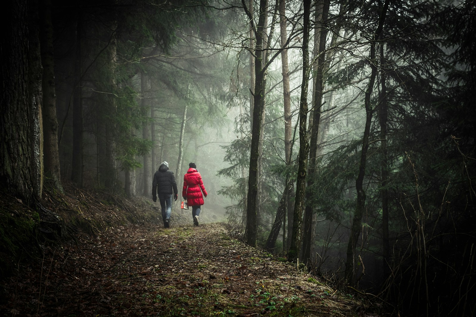 two person walking in forest during daytime